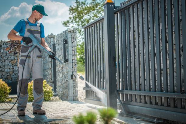 Best Gutter Cleaning  in Westchase, FL