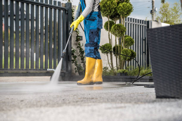 Best Fence Cleaning  in Westchase, FL